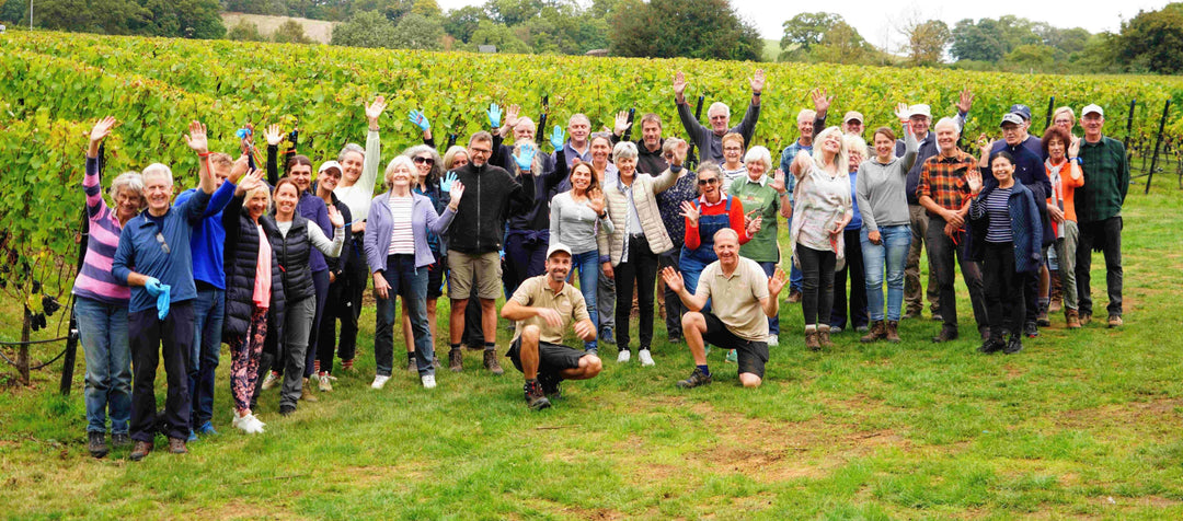 Volunteer for Leaf Stripping