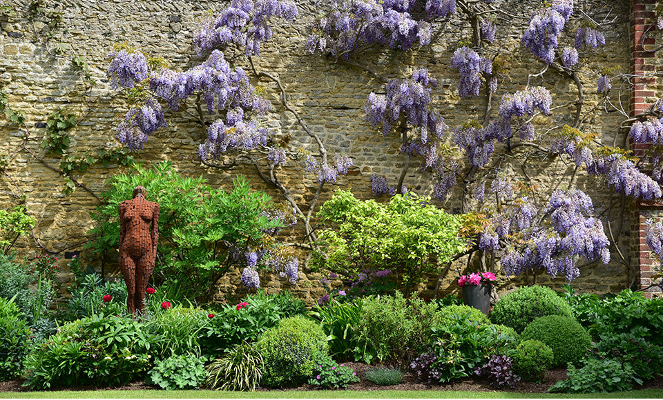 Celebrating Surrey Day and our beautiful surroundings