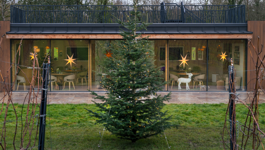 A Perfect Surrey Christmas Begins at Chilworth Manor Vineyard: Trees, Glögg & Festive Cheer