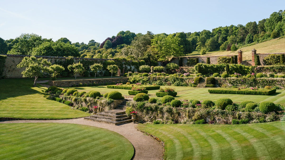 NGS Open Garden Sunday 21 May 2023