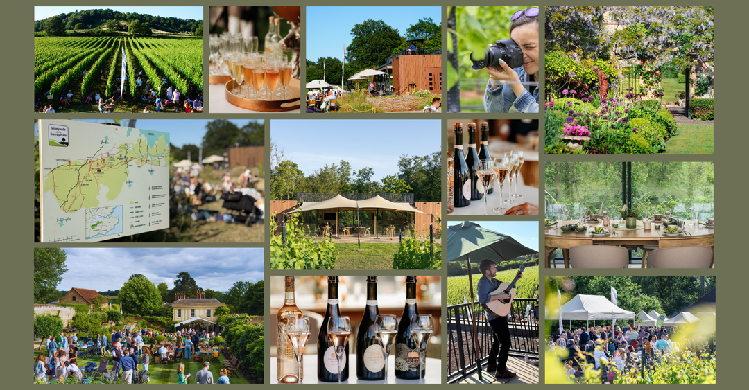 Dates for your Diary - A round up of the 2026 Experiences Programme