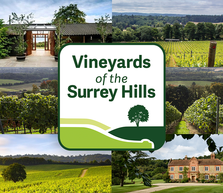 Vineyards of the Surrey Hills