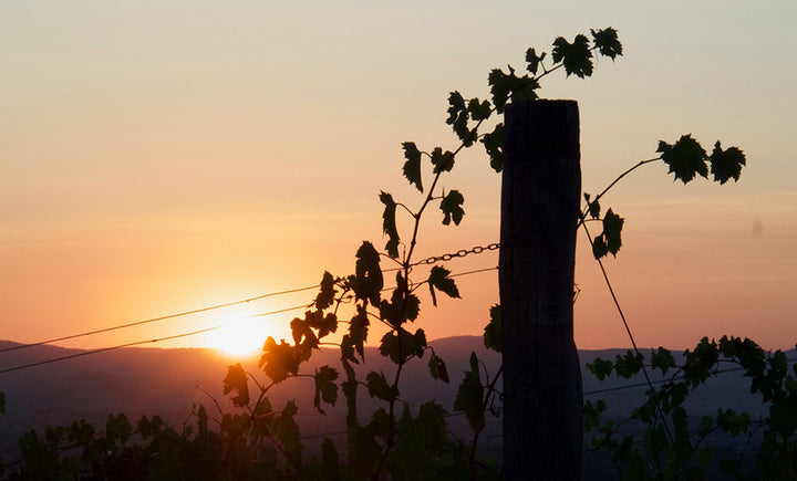 Workshops &wine - Sunset photography (DSLR) - back in 2026