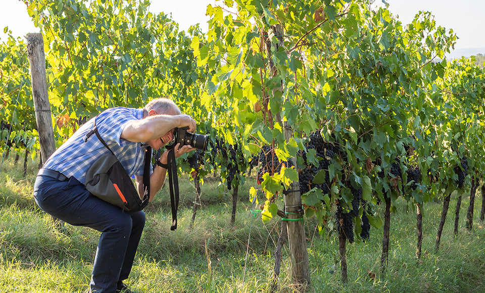 Workshops &wine - Sunset photography (DSLR) - back in 2026