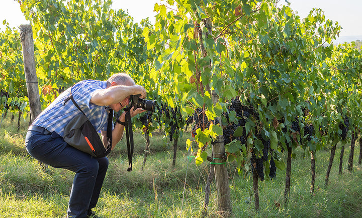 Workshops &wine - Sunset photography (DSLR) - back in 2026