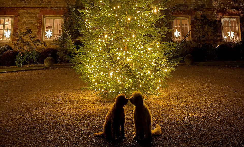 Festive Sing Along