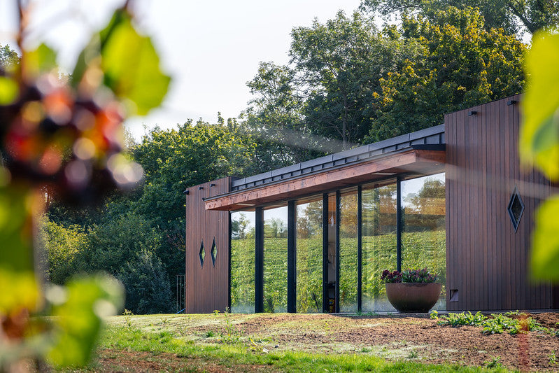 Book a Vineyard Tour and Tasting
