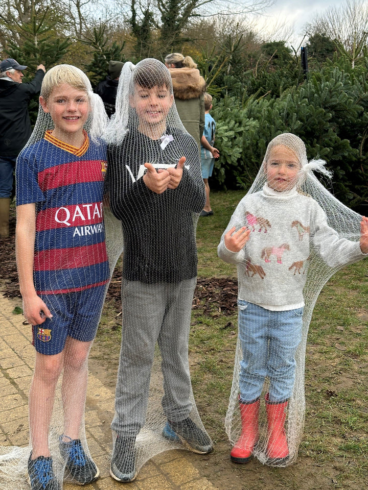 Christmas Trees & Wine