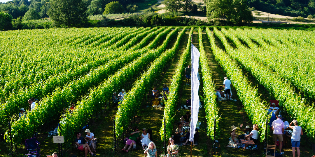 Wine Festival