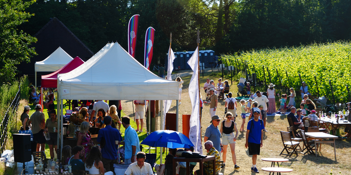 Wine Festival