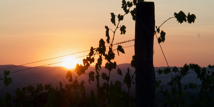 Workshops & Wine - Sunset photography (DSLR)