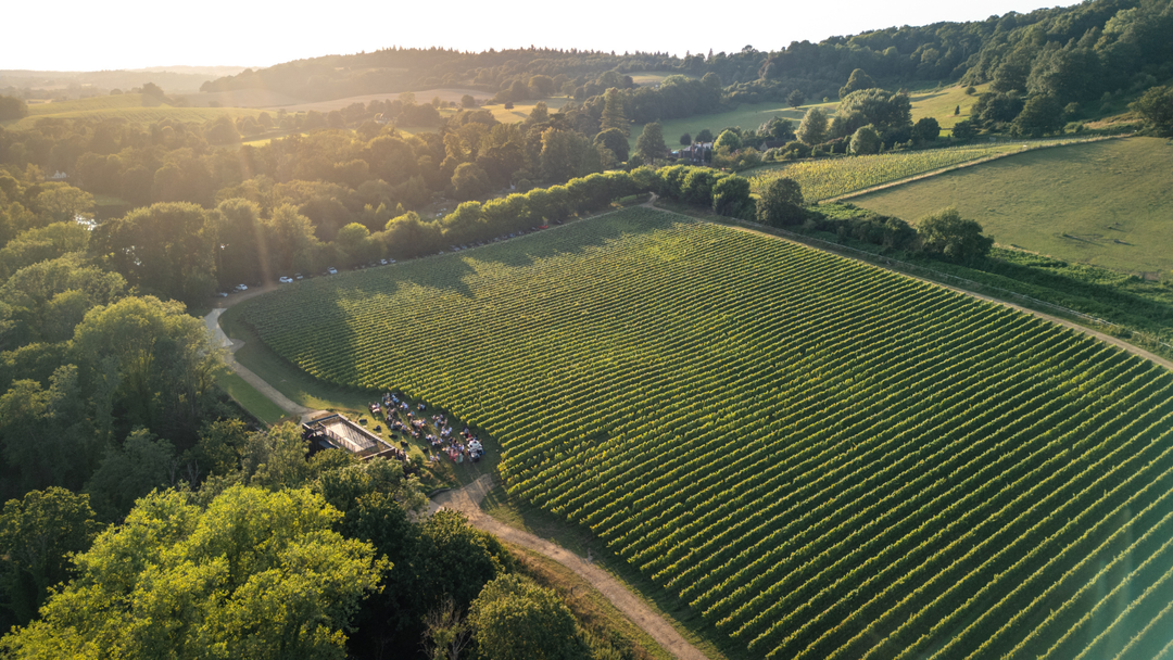 Opera in the Vines