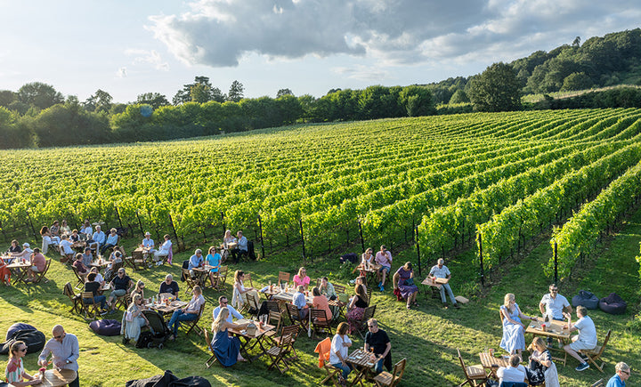Groups of guests sat at chilworth manor wine tasting barn outside next to the vineyard for a tour and english vintage wine tasting event on a sunny summers evening