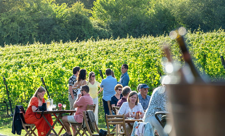 Guests enjoying an outdoor English vintage wine tasting tour and event amidst lush green vines at Chilworth Manor Vineyard in Surrey, with chilled wine bottles blurred in an ice bucket in the foreground.